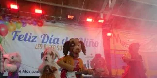 #OHIGGINS Incentivando los derechos de los animales Perrito Chipitin se presento en San Fco de Mostazal