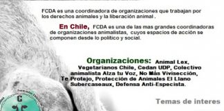#SANTIAGO Convocan a primer encuentro de organizaciones de defensa y protección animal