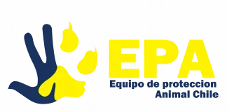 #EDITORIAL 4 años aperrando por los animales