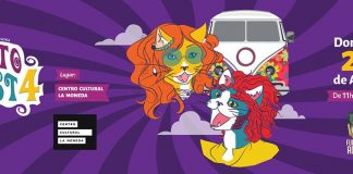 #SANTIAGO Desarrollarán cuarta versión de Gato Fest este domingo