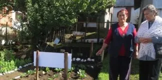 #LOSLAGOS Programa de huertos urbanos continúa por segundo año consecutivo en Ancud