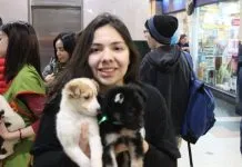 Jornada de adopción busca encontrar hogar para perros rescatados en Valparaíso