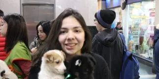 #SANTIAGO ¿Quieres adoptar a un perrito?, ¡ ven a la jornada de adopción de La Reina este sábado¡