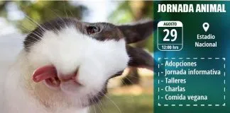 #SANTIAGO Desarrollarán jornada pro animal y ecológica este sábado en el Estadio Nacional