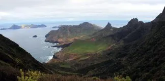 #TENDENCIAS Oceana lanza nuevo documental en todas sus plataformas digitales