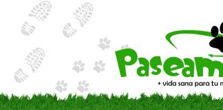La historia de Paseame.cl, la iniciativa que se hace cargo de pasear a nuestros perros