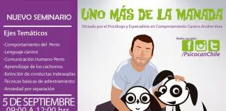 #OHIGGINS Invitan a seminario en torno a la psicología canina que se realizará en Rancagua