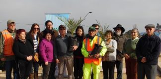#VALPARAISO Plantarán mil palmas chilenas en distintas plazas de la comuna de San Antonio