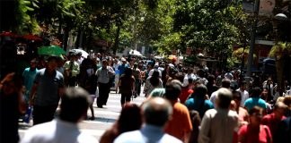 Chile es el 5° país Ocde con mejores leyes en protección de animales