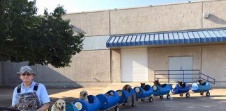 #ESTADOSUNIDOS Abuelo construyó tren para pasear a perros abandonados en Texas