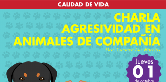 #SANTIAGO Harán charla respecto a la agresividad en los animales de compañia en Providencia