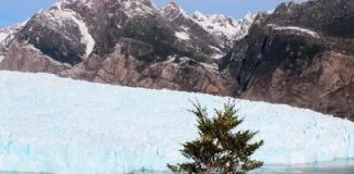 #OPINION Acción climática hoy: Descarbonización al 2030