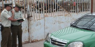 #VALPARAISO Efectivo policial mata a perro en confuso incidente registrado en Concón