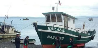 #LOSLAGOS En julio vuelven los Temporales de Ciencia de Chiloé