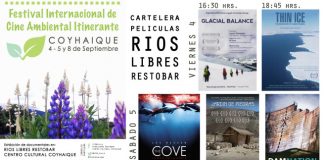 #AYSEN Este viernes comienza el Festival Internacional de Cine Ambiental Itinerante