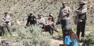 Desarrollan un programa nacional de educación ambiental para preservar al guanaco