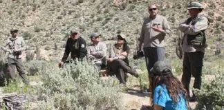 Desarrollan un programa nacional de educación ambiental para preservar al guanaco