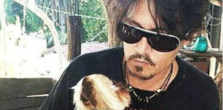 #AUSTRALIA Se aplaza audiencia por caso de los perros de Johnny Depp ingresados ilegalmente al país