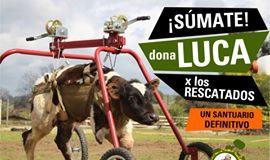 #VALPARAISO Farkas promete ayuda al Santuario de la Tía Clafira de Limache