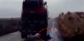 #ATACAMA Condenan a 241 días de presidio a sujetos por maltrato animal