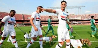 #BRASIL Jugadores de San Pablo salen al césped con perros abandonados