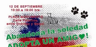#SANTIAGO Realizarán jornada de adopción este sábado en la comuna de Maipú