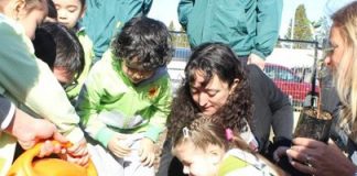 #MAGALLANES Niños y niñas reciben primavera plantando árboles en la región