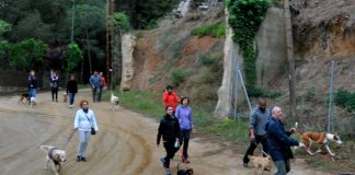 #MIRADANACIONAL Critican restricción de permisos para pasear a nuestros animales, en las zonas de cuarentenas y/o cordones sanitarios