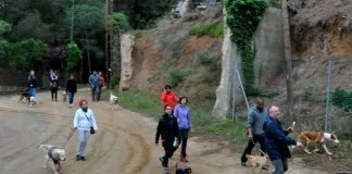 #MIRADANACIONAL Critican restricción de permisos para pasear a nuestros animales, en las zonas de cuarentenas y/o cordones sanitarios