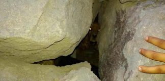 #COQUIMBO Voluntarios logran rescatar a can atrapado luego de un derrumbe a 4 días del terremoto