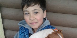 #LOSLAGOS Familia de Castro acusa que vecino mató a su perro a balazos