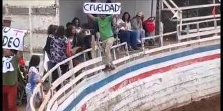 #TARAPACA Activistas irrumpieron en medialuna de Alto Hospicio exigiendo la abolición del rodeo