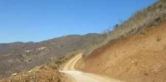 #VALPARAISO CONAF denuncia a minera por tala ilegal de bosque nativo en Hijuelas