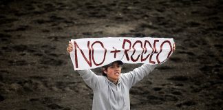 #LAARAUCANIA Activistas se manifestaron contra el rodeo en medialuna de Temuco