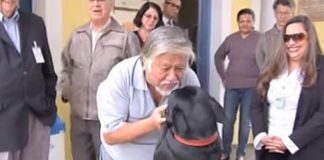 #BRASIL La fidelidad de un perro que emociona a todo el país