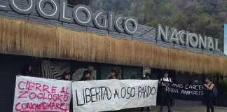 #SANTIAGO Activistas protestan en las afueras del Zoo Metropolitano exigiendo su cierre definitivoe