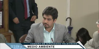 Comisión de Medio Ambiente rechaza propuesta del Ejecutivo que pretendía dejar glaciares sin protección