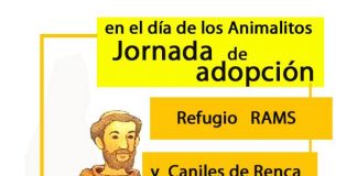 #SANTIAGO Harán jornada de adopción canina este 4 de Octubre en Renca