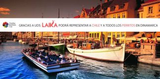 Laika representará a Chile en la Creative Business Cup en Dinamarca