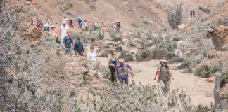 #ATACAMA Celebrarán los 30 años del Parque Nacional Pan de Azúcar