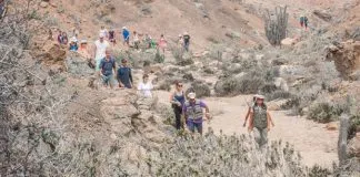 #ATACAMA Celebrarán los 30 años del Parque Nacional Pan de Azúcar