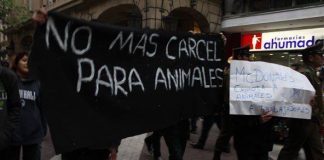 #SANTIAGO Activistas marcharon en contra de McDonald’s en el Día Mundial de la Alimentación