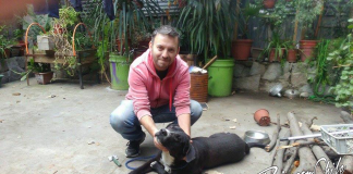 #SANTIAGO La historia de Lorenzo, un can que querían sacrificar y hoy busca un hogar