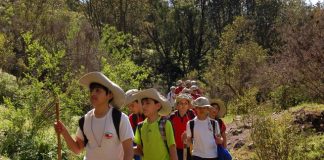 #SANTIAGO Quebrada de la Plata albergó a 200 estudiantes en nueva jornada de Patatur Eco Educativo