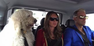 Robbie Williams despide con un emotivo vídeo a su perro fallecido