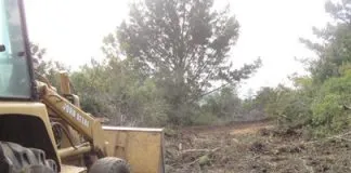 #VALPARAISO CONAF denuncia tala ilegal de bosque nativo para construcción en Laguna Verde
