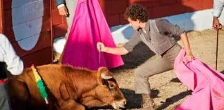 Unión Europea prohíbe la subvención a la tauromaquia