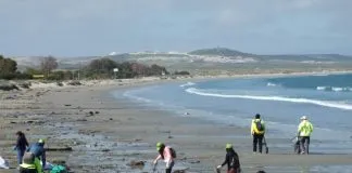 #COQUIMBO Decenas de voluntarios participaron en la limpieza de playas en Tongoy