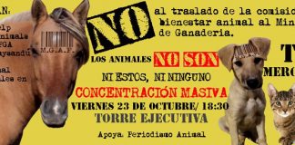 #URUGUAY Activistas en pie de guerra por decisión de traspasar oficina de protección animal a Ministerio de Ganadería