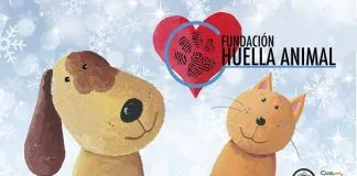 #SANTIAGO Nueva Jornada de Adopción de Perros y Gatos en Providencia